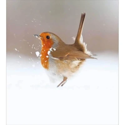 Image of Woodmansterne Christmas Cards Robin Snow Pack of 5 Charity UK Made Xmas