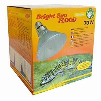 Image of Lucky Reptile BSFD 70 Bright Sun Flood Desert, Watt