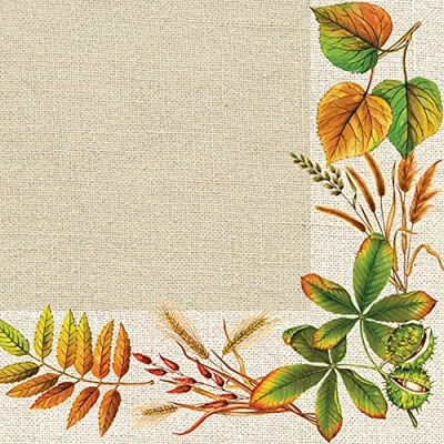 Image of Maki 3 Ply Autumn Decoupage Tissue Paper Napkins Decorative Serviettes 33cm x Pack of 20 (Autumn Leaves Frame)