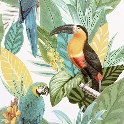 Image of Full Roll Toucan Jungle Wallpaper Tropical Palm Birds Green Textured Vinyl