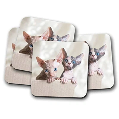Image of 4 Set Sphynx Cats Coaster Cat Kitten Siamese Cute Mum #15274