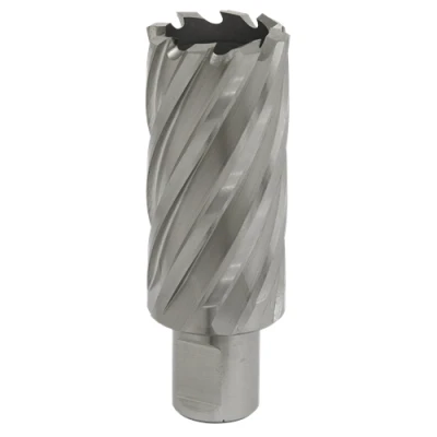 Image of Worksafe Rotabor Cutter HSS Ø29mm Cut Depth 50mm