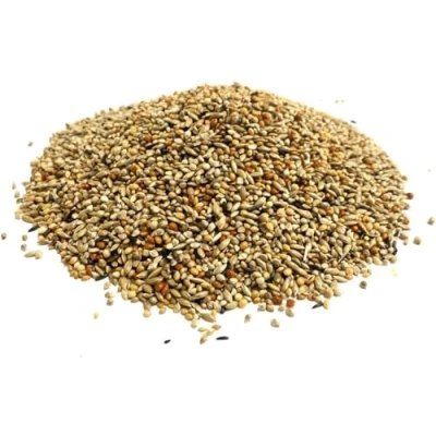 Image of *NEW* 500g ABZ Finch Seed SJJ