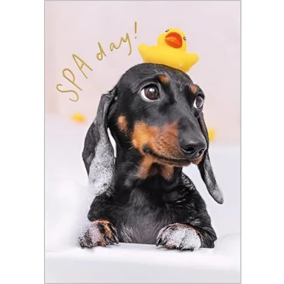 Image of Abacus Cards Birthday Card Happy with Dachshund Dog Spa Day Design and Embossed Foil Details for Women, Men, Friends
