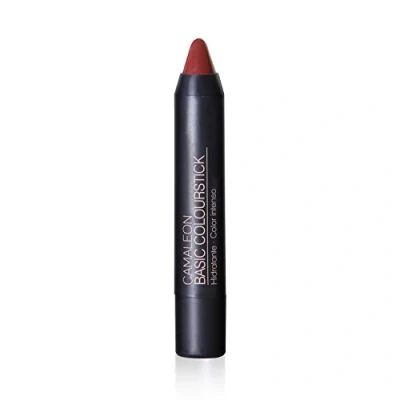 Image of Camaleon Cosmetics, Basic Colourstick Terra, 1 Unit, 4gram