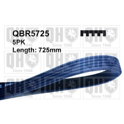 Image of 5750WV, 91541144, 91541175 V ribbed belt QUINTON HAZELL QBR5725 725mm 5 CITROËN: Berlingo / First I, Saxo Hatchback