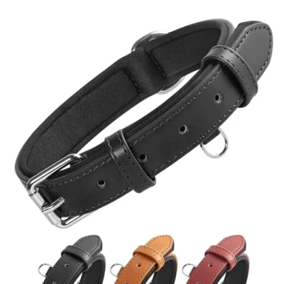 Image of Grand Line Leather Dog Collar, Wider and Thicker Durable Collar with Soft Padded, Adjustable Pet for Small Medium Large Cat Puppy (Black, M)
