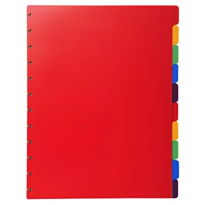 Image of Exacompta Ref 86002E Divider Inserts for Repositionable Display Books Suitable Use With A4+ Documents, 6 Tabbed Positions Assorted Coloured Tabs