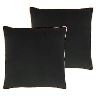 Image of Paoletti Meridian Feather Filled Cushions Twin Pack