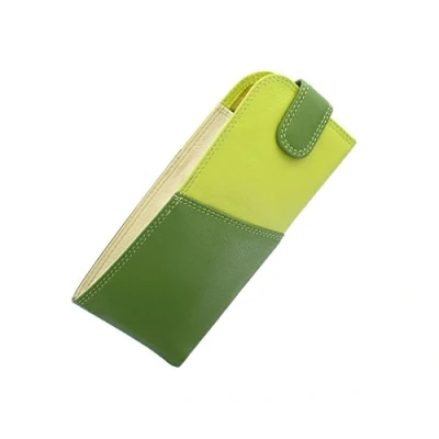 Image of VISCONTI Rainbow Collection BELIZE Nappa Leather Glasses Case RB106