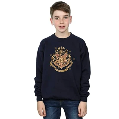 Image of Harry Potter Boys Gold Hogwart Crest Sweatshirt Navy Blue 3 4 Years