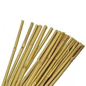 Image of JVL Natural Bamboo Garden Canes, Brown, 183 cm
