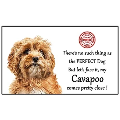 Image of Cavapoo Dog Gift Perfect Fun novelty Flexible 5&quot; x 3&quot; Magnet