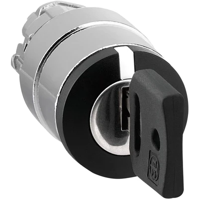 Image of Schneider ZB4BG2 Key Switch 2 Position Stay Put Type