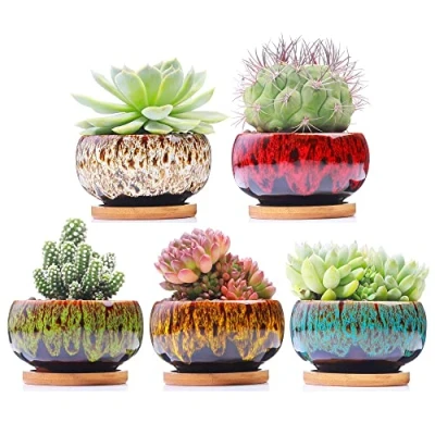 Image of Cute Ceramic Succulent Garden Pots, Planter with Drainage and Attached Saucer, Set of 5 Plants Not Included (Round)