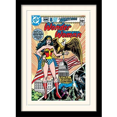 Image of DC Comics Wonder Woman 30 X 40 cm &quot;Eagle&quot; Mounted And Framed Print