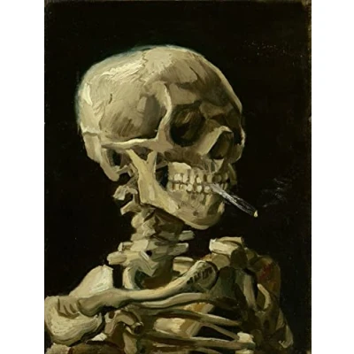 Image of liziciti 5D Diamond Painting Kits Van Gogh for Adults, 12x16in Art Full Drill Canvas Picture DIY Wall Decor (Smoking Skull)
