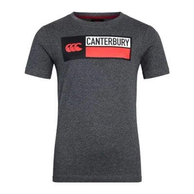 Image of Canterbury Kids Cotton Logo T Shirt Juniors Dark Grey 7 8 Years
