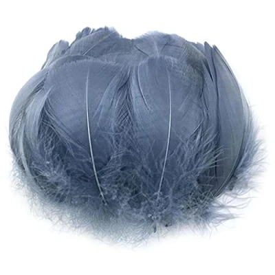Image of JINLL Natural Goose Feathers Clothing Accessories Pack of 100,Gray