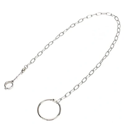 Image of School Season Stainless Steel Foot Chain, Durable Parrot Training Anklet Ring, for Parrots Home Birds Pets