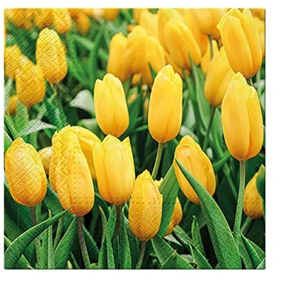 Image of PAW Napkins 3 Ply (33 x 33 cm) I 20 Pieces Perfect for Birthdays, Parties, Weddings, Communion and Celebrations Paper Colorful Garden, Spring, Easter Color: Tulips Field