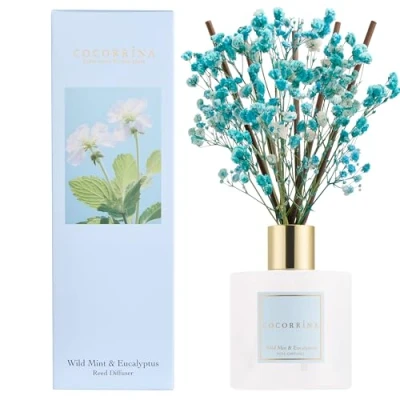 Image of COCORRÍNA Reed Diffuser Set, 200ml Wild Mint &amp; Eucalyptus Scented with Sticks Home Fragrance for Bedroom Bathroom Living Room, Office Decor