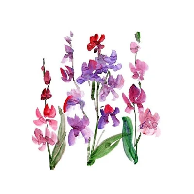 Image of Wee Blue Coo Flower Orchid Watercolour Art Print Poster Wall Decor 12X16 Inch