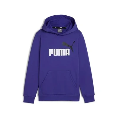 Image of PUMA ESS+ 2 Col Big Logo Hoodie FL B