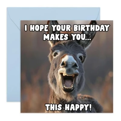 Image of Funny Donkey Birthday Card &#039;Cute Happy&#039; Gifts for Friends, Him, Her, Besties, Buddies, Mate, Family, Colleagues, Coworkers Comes with Fun Stickers
