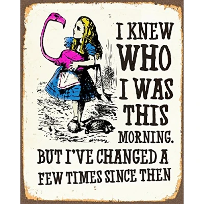 Image of Alice in Wonderland I&#039;ve Changed Metal Sign 6x8inches Plaque Vintage Retro Poster Art Picture Print TN1033