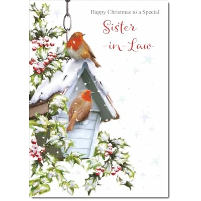 Image of doodlecards Sister in Law Christmas Card Two Robins Snow Medium Size for with Plain Envelope