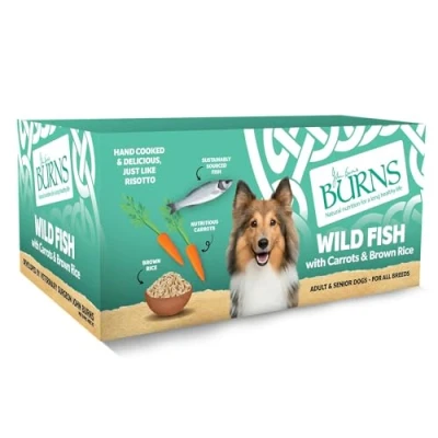 Image of Burns Pet Nutrition Natural Wet Dog Food For Adult &amp; Senior Dogs Wild Fish, Carrots Organic Brown Rice (12 x 150g)