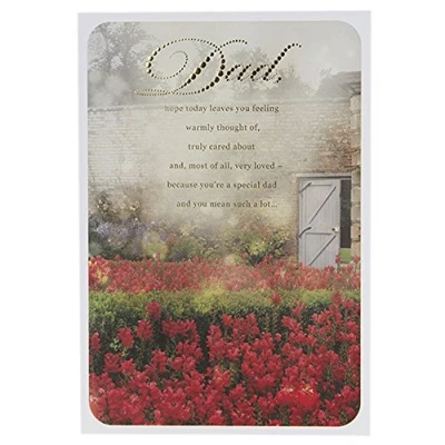 Image of Hallmark Dad Father&#039;s Day Card You Mean a Lot Medium
