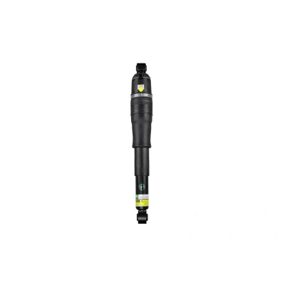 Image of 15756926, 15852159, 15869656, 15869658, 15918525 Air Spring Strut Arnott AS 3430 Rear
