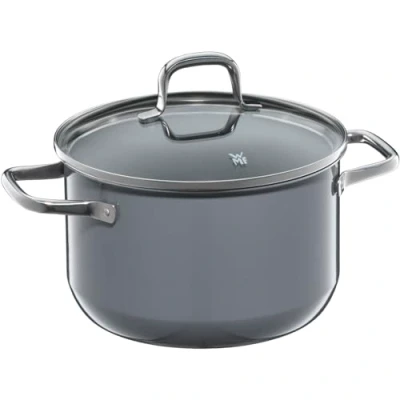 Image of WMF Fusiontec Essential Large Cooking Pot, 20 cm, Glass Lid, Induction 3.7 L, High Tech Ceramic, Scratch Resistant, Uncoated, Grey, Made in Germany