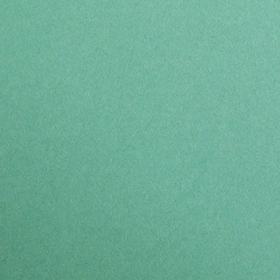 Image of Clairefontaine Ref 97151C Maya Coloured Smooth Drawing Paper (Pack of 25 Sheets) 120gsm 50 x 70cm Dark Green Colour Deep Dyed, Acid Free, pH Neutral