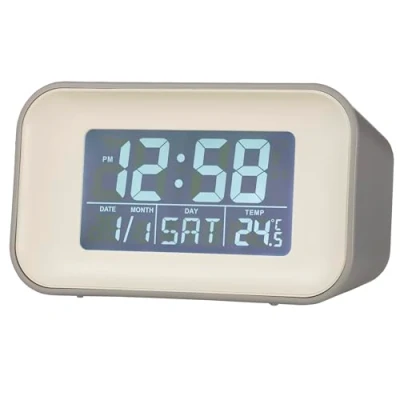 Image of Alta Alarm Clock Owl Grey Acctim