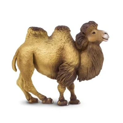 Image of Safari Bactrian Camel