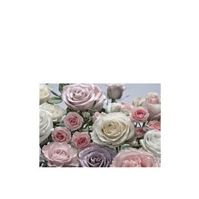 Image of Komar 8 736 368 x 254 cm Floraison Rose Flower Floral Wallpaper Mural Pink (Pack of 8)