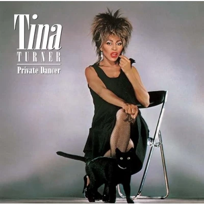Image of Private Dancer [VINYL]