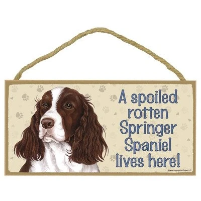 Image of SJT A spoiled rotten Springer Spaniel lives here wood sign plaque 5&quot; x 10&quot;