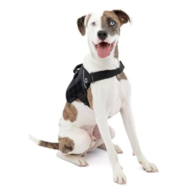 Image of Kurgo RSG Dog Townie Harness, Easy On/Off Hiking Adjustable, MOLLE Compatible, Medium Black