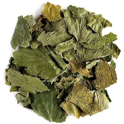Image of Black Currant Organic Leaf Tea Great with Deserts Ribes Nigrum The Bush Leaves of Blackcurrant
