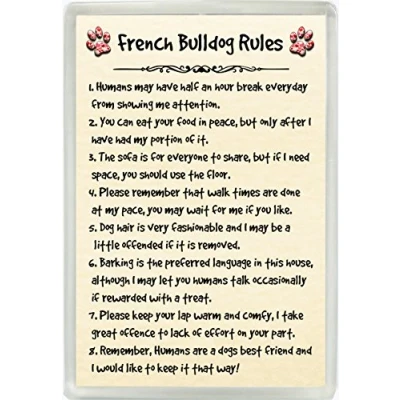 Image of French Bulldog Rules Humour Jumbo Fridge Magnet Ideal Dog Lover Birthday Gift M132