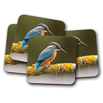 Image of 4 Set Beautiful Kingfisher Coaster Bird Wildlife Nature Animals #15668