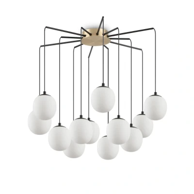 Image of Rhapsody Indoor Cluster Ceiling Pendant Lamp 12 Lights Black, G9