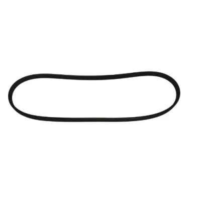 Image of 9091602570 V ribbed belt QUINTON HAZELL QBR3860 860mm 3 TOYOTA: Prius II Liftback