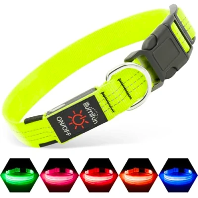 Image of Illumifun LED Dog Collar, USB Rechargeable Lighted Reflective Glowing Safety Collar Make Your Dogs Safe&amp; Seen at Night(Green3, Medium)