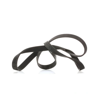 Image of 5750QW V ribbed belt SKF VKMV 6PK1590 1590mm 6 AUDI: A4 B8 Avant, A5 Coupe, Saloon, VOLKSWAGEN: TRANSPORTER 4, 4 Bus