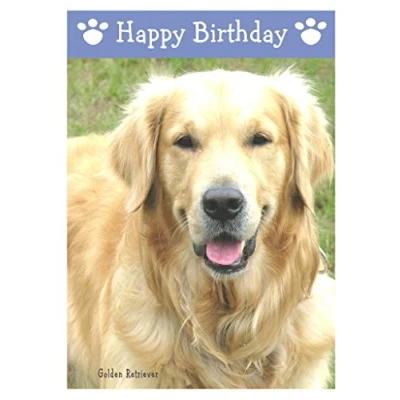 Image of Golden Retriever, Dog Birthday Card